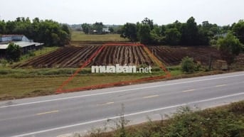 CẮT LỖ 800 TRIỆU CHO NHÀ ĐẦU TƯ,  đất nền đức hòa, thổ cư long an