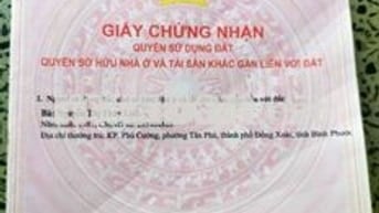 CẦN BÁN GẤP _ĐẤT CHÍNH CHỦ GẦN TRUNG TÂM HÀNH CHÍNH PHÚ RIỀNG
