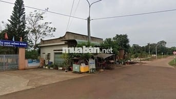 Bán đất sào xã Bình giã, TP. HCM sẵn Sầu Riêng & Cà Phê