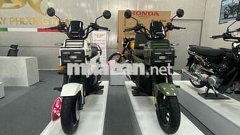 Honda Square X125 Trắng, Xanh rêu