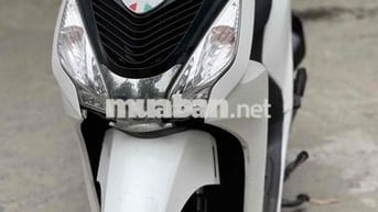xe vision 2019