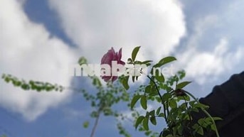 🏠🚨 NHÀ NGUYÊN CĂN CÓ SÂN RIÊNG THỦ DẦU MỘT – 4.5TR/THÁNG