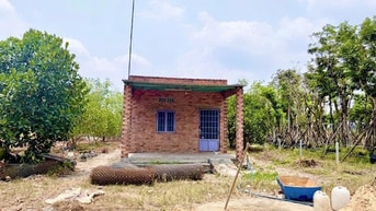 Bán vườn mít 683m2 có nhà cấp 4 giá 450triệu.