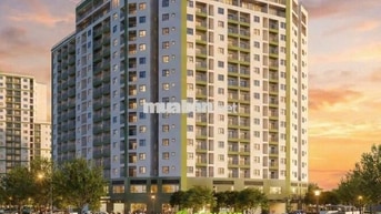 ECOLIFE VIEW BIỂN 38,4tr/m2 2PN 66-69m2 2,2 TỶ- 3PN 73-101m2 2,5 TỶ