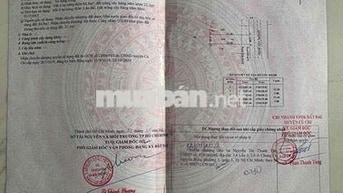 Chính Chủ Cần bán đất mt đường Góc Rưng xã An Nhơn