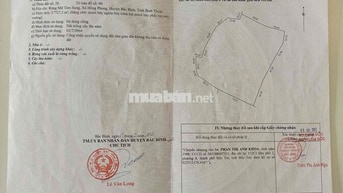 đất biển sau lưng aped giá cực rẻ