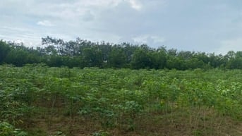 Thông báo đấu giá tài sản bảo đảm của ông Nguyễn Văn Anh tại MSB