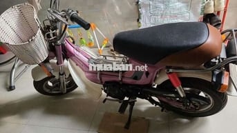 Honda màu Hồng