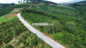 chỉ 1tr/m2 đất thổ cư view đồi siêu hơi,đường bê tông,ngay cao tốc