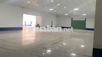 𝗫𝗨̛𝗢̛̉𝗡𝗚 𝗕𝗜̀𝗡𝗛  𝐓𝐀̂𝐍 - 460M2, đường xe tải, Nguyễn Thị Tú