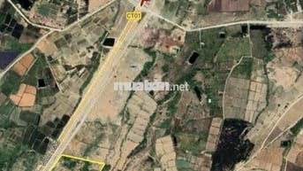 Bán 8,2 ha đất trồng cây lâu năm