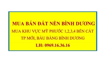 Cần Mua Đất Nền Khu Vực Mỹ Phước 1,2,3,4 Bến Cát Bình Dương Chính Chủ