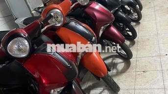 mình có nhiều xe junus