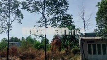 Chính chủ bán đất mặt tiền đg N1, gần trường ĐH Việt Đức