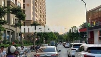 Bán căn hộ Chung cư HOMELAND Thượng Thanh, 66m², 2PN. nội thất đầy đủ