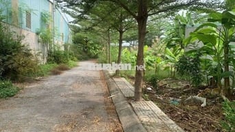 Cần bán 116 m2 đất thổ cư, ngay thành công.