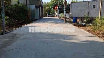 Hàng Hiếm 300mv sẳn 100m thổ cư phường trảng bom
