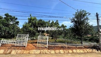 Bán đất ven TP Đà Lạt. cách trung tâm TP chưa đến 30Km