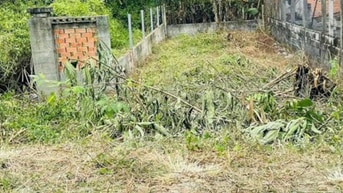 Đất thổ cư 5x15 =75m cách Tỉnh lộ7 100m khu dân cư đông đúc