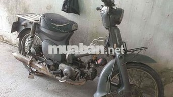 Honda Cub 50cc