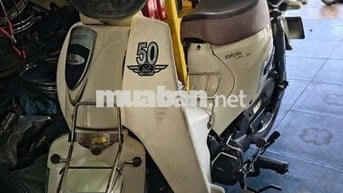 ESPERO CLASSIC 50-1 Vàng Đã sử dụng
