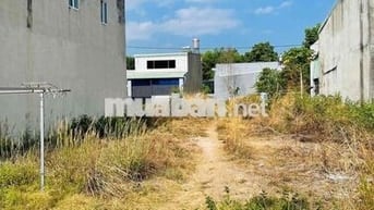 🔥 BÁN ĐẤT LONG PHƯỚC – GIÁ TỐT ĐẦU TƯ 🔥
