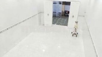 Cho thuê nhà 4pn Lê Quang Định Bình Thạnh 
