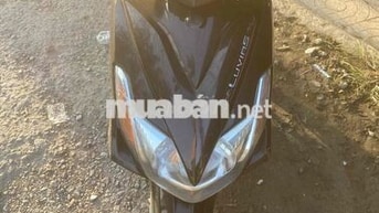 Yamaha Luvias màu Nâu