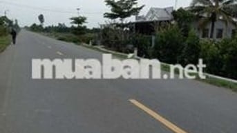 bán đất nền lộ 908 gần chợ kinh tư