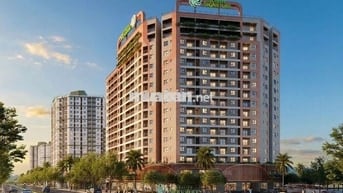 ECOLIFE SIGNATURE -SỞ HỮU LÂU DÀI-CHỈ 2TỶ4 SỞ HỮU NGAY CĂN 2PN-VAY 70%