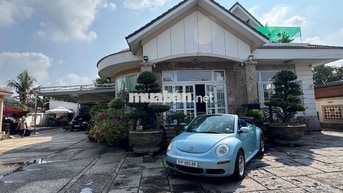 Volkswagen Beetle 2007 Mui trần