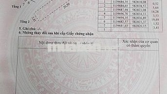 Nhà mặt tiền đường Trần Hưng Đạo - P1