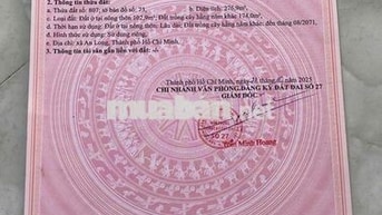 Cần sang cọc gấp lô đất An Long TpHCM 276m2 đường nhựa giá rẻ 625tr