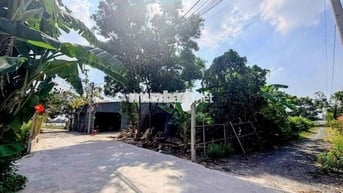 Đất thổ cư 2/đường số 86-Tân Phú Trung-Củ Chi.Dt 15,5x64~987m2~5,5ty