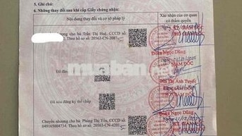 BÁN LÔ ĐẤT NẰM GẦN CHỢ ĐẦU MỐI ĐIỆN NGỌC DT 110M