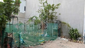 Chính chủ bán đất ở tại đô thị, nở hậu, đường Làng Tăng Phú