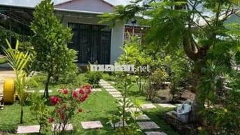 Nhà Vườn An Sơn 500m2/820tr, 3PN,3 NVS,Thiết Kế Hiện Đại,Sổ hồng riêng