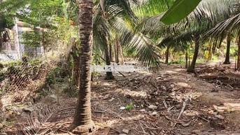 Cần bán gấp đất,giá cả có thể thương lượng, có hoa hồng cho môi giới
