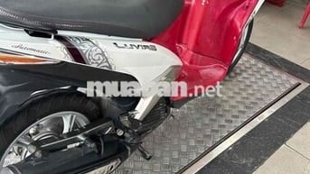 Yamaha Luvias Đỏ trắng