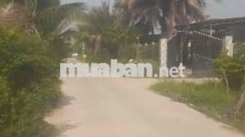 Ngộp bank. Đất 165m2 full thổ cư giá 650 triệu. DT 5x35. Ngay Đức Hoà
