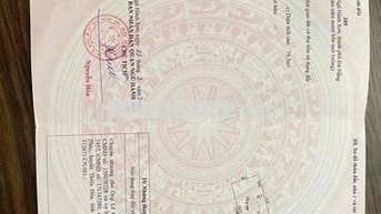 154m2 NGANG 7m KIỆT Ô TÔ VỊ TRÍ ĐẸP NHẤT PHƯỜNG HOÀ QUÝ CHỈ 3,1 TỶ