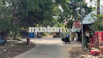 Chính chủ cần bán 1010m2 Túc Trưng, Đồng Nai