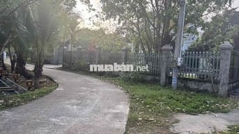 Cần bán gấp 11.800m2 đất Định Quán Tp tw Đồng Nai