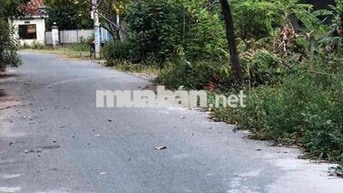 Bạch Đằng Giá Rẻ, Thổ cư, SH Riêng