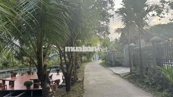 Cần bán gấp 11.800m2 đất Định Quán Tp tw Đồng Nai
