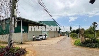 Đất KDC ngay chợ 19 Ea Knuec - DT 10x25m nở hậu giá đầu tư