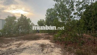 🔥 CHÍNH CHỦ BÁN GẤP 1000M² ĐẤT TAM THANH - TAM KỲ 🔥
