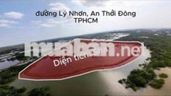 Đất Nông Nghiệp/ 5ha, đường Lý Nhơn