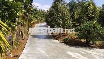 SIÊU PHẨM NHÀ VƯỜN/ FARMSTAY (9,2 Sào)