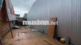 Bán đất MT Xuân Thiều 8 Hoà Hiệp Nam Liên Chiểu Sát Biển
